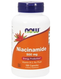 Now Foods Niacinamide 500mg 100Caps