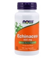 Now Foods Echinacea 400 mg 100 Veg Capsules