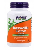 Now Foods Boswellia Extract 500 mg Softgels