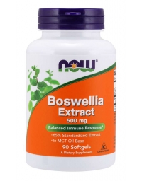 Now Foods Boswellia Extract 500 mg 90 Softgels