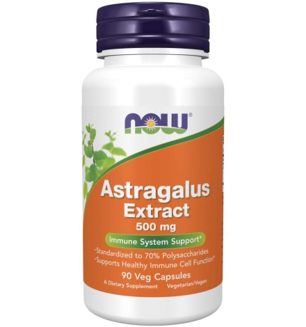 Now Foods Astragalus Extract 500 mg 90 Veg Capsules